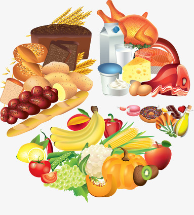 人体所需的各种均衡的膳食原料