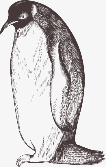 手绘企鹅图案