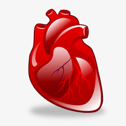 心脏病学图标图片免费下载 Png素材 编号vwxipe3r4 图精灵