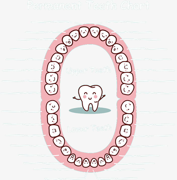 卡通牙医牙齿