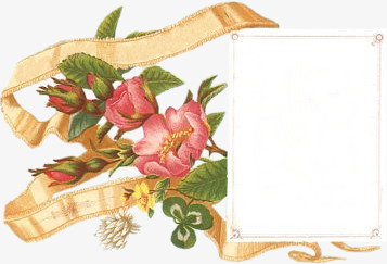 手绘花素材花图标 精美边框方框花朵丝带