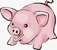 卡通可爱小猪