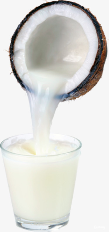 关键词:新鲜椰子椰子汁饮料椰子饮品图精灵为您提供新鲜椰子汁免费