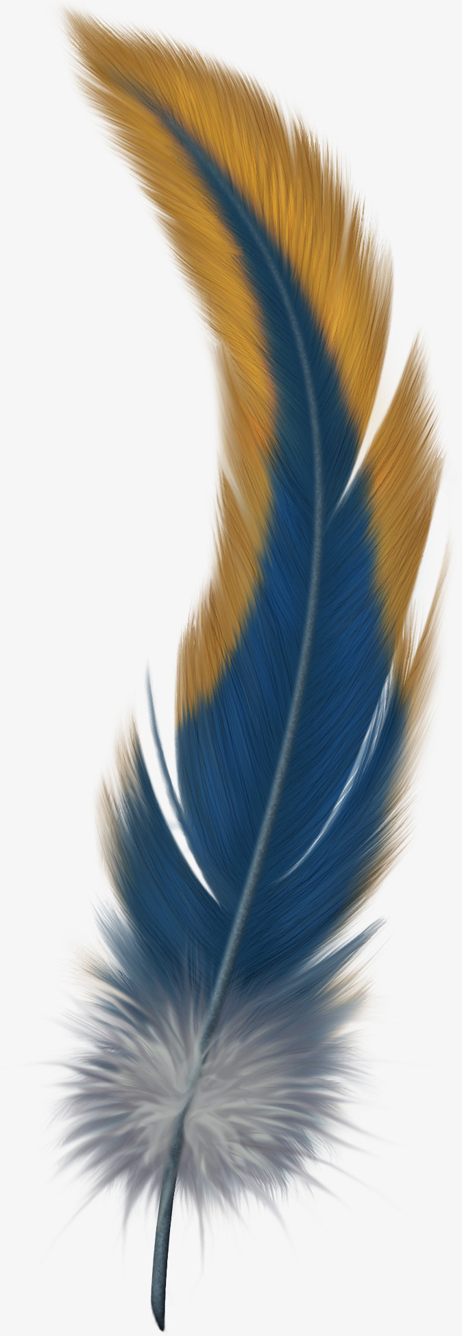 鸟羽毛羽毛飘落素材蓝色羽毛