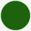 绿色圆形边框