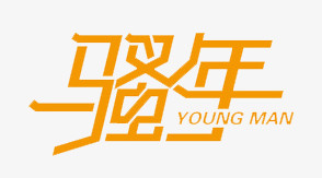 骚年