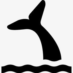 鲸鱼查看名项目图标图片免费下载 Png素材 编号1yqi52j7m 图精灵