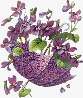 手绘花素材手绘花素描 唯美紫色花伞