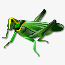 Grasshopper图标图片免费下载 Png素材 编号zq9i4ygn5 图精灵