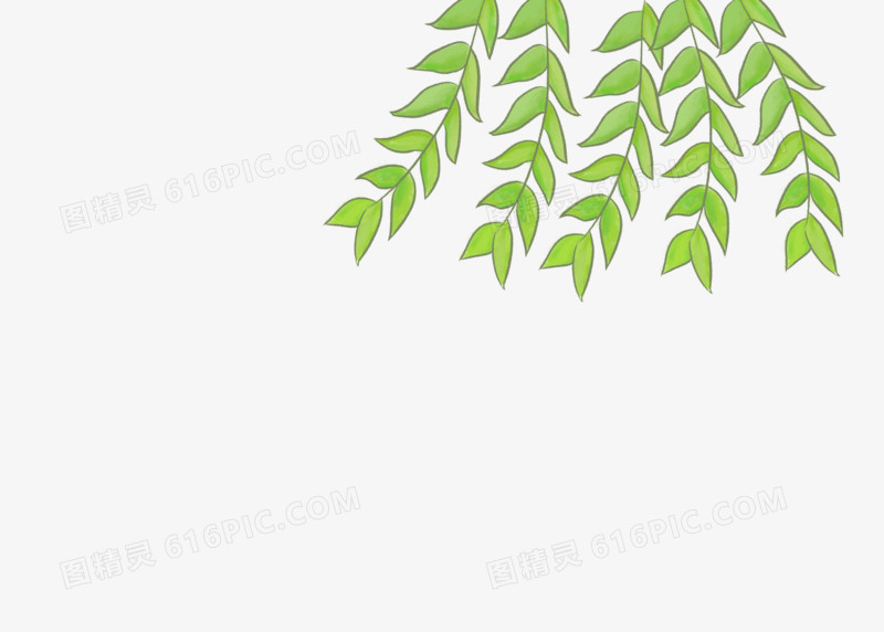 枝条春天元素水彩