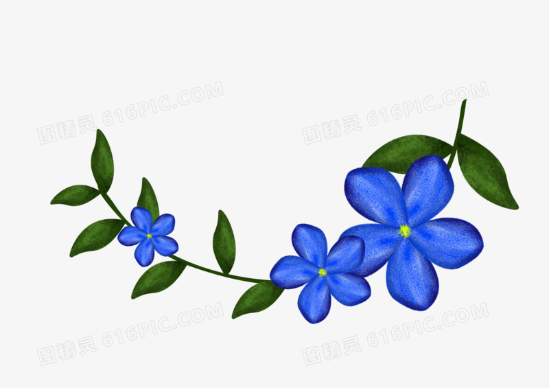 精美蓝色的花朵