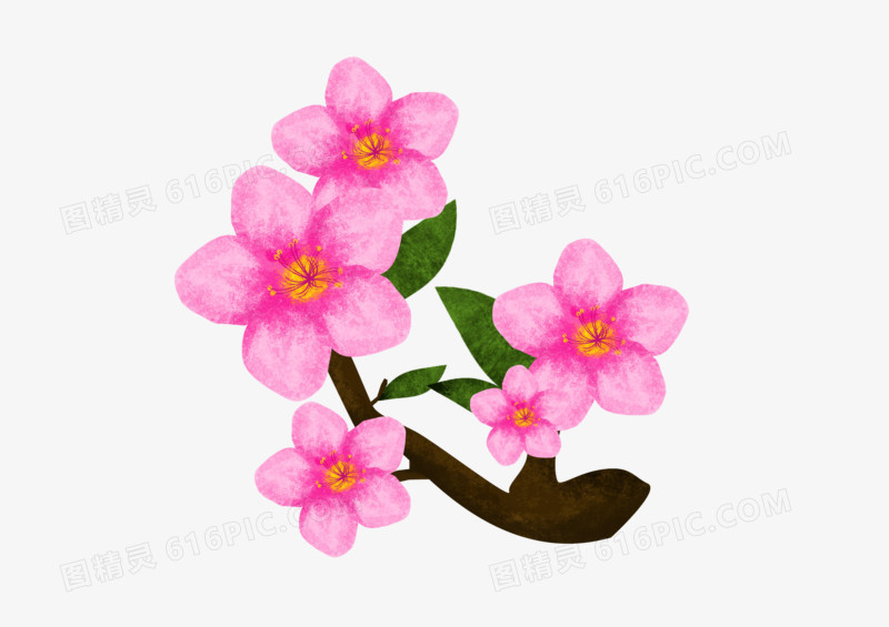 精美的粉色桃花