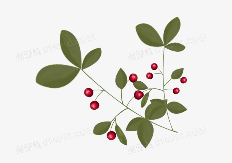 春天绿色植物小果子