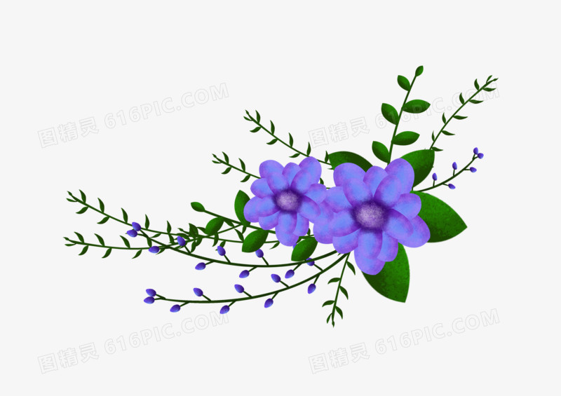 蓝色唯美植物花朵