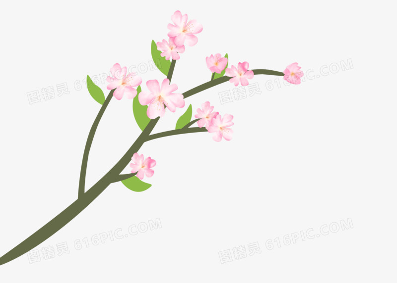 小清新桃花春来了一枝桃花树枝发芽粉色桃花装饰