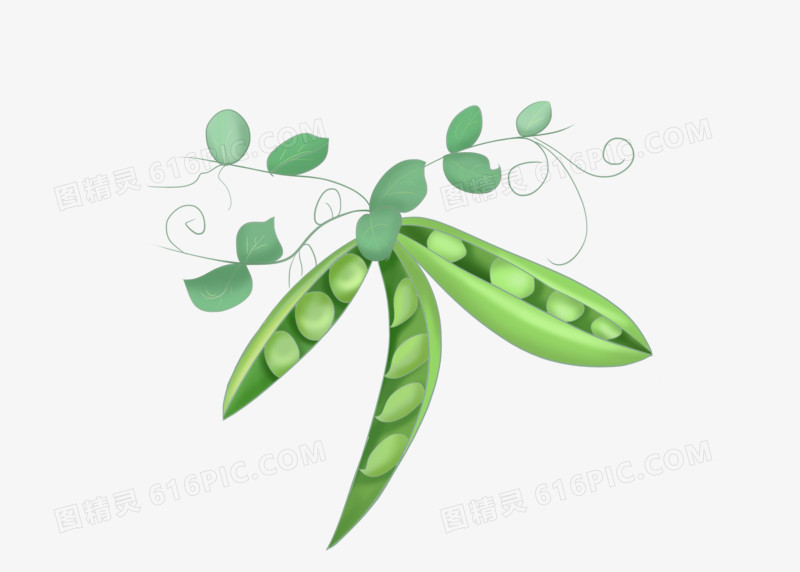 清新手绘绿色系的豌豆