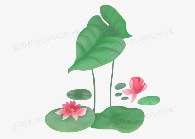 夏天手绘绿色清新风荷花
