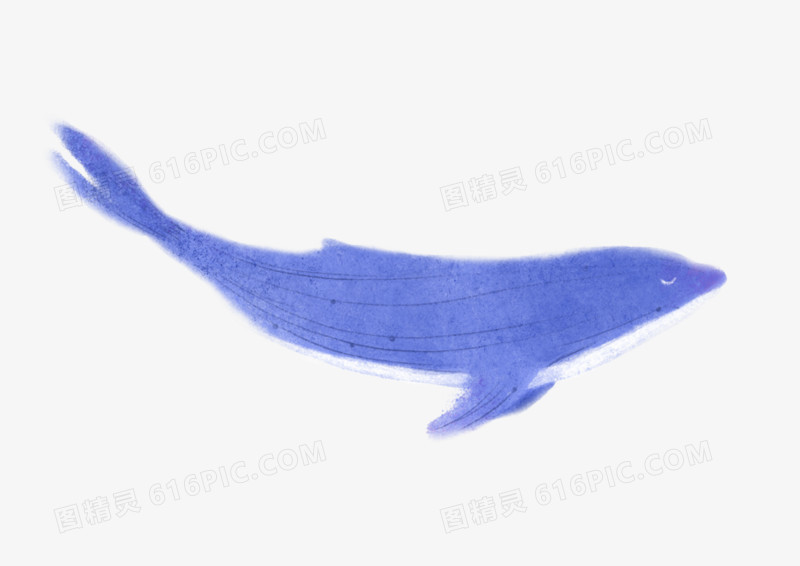 手绘插画蓝色星空鲸鱼