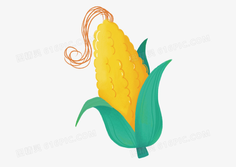 手绘插画卡通简约玉米