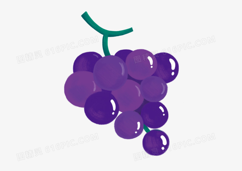 手绘插画卡通可爱水果葡萄