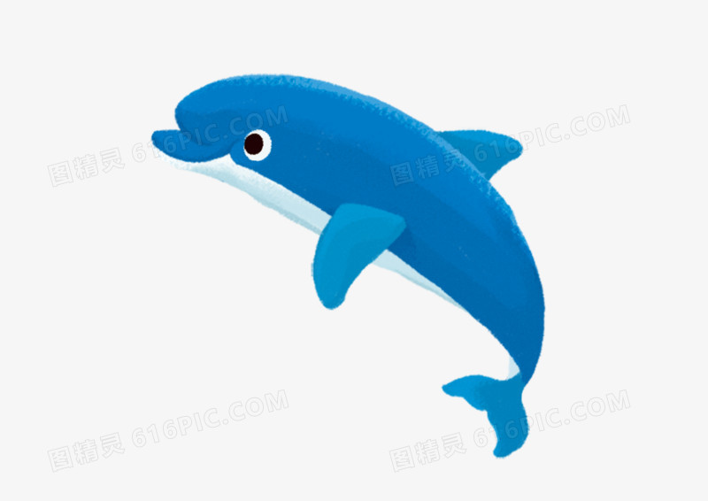 手绘插画卡通动物蓝色海豚