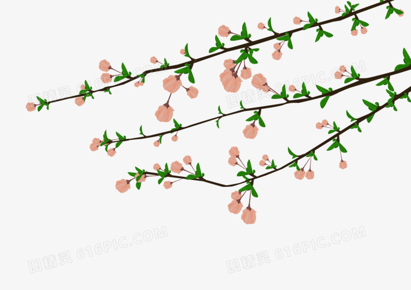 精美的粉色花儿
