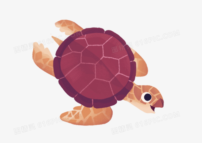 手绘插画卡通动物海龟