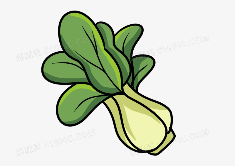 手绘卡通蔬菜小菠菜