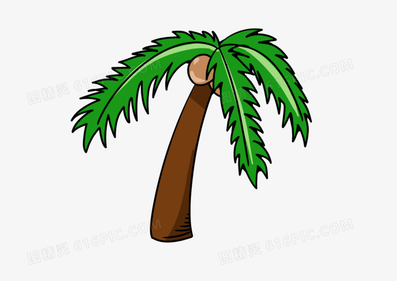手绘卡通插画简约椰子树