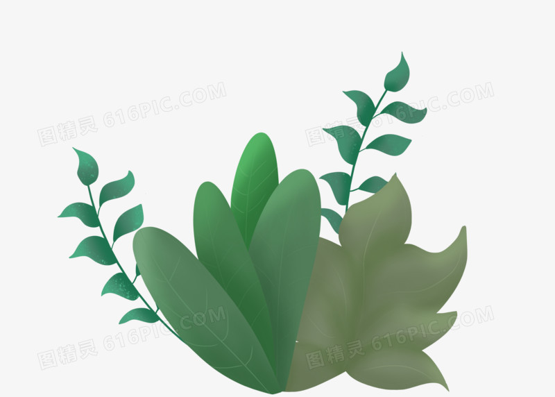 夏至大暑手绘素材绿植