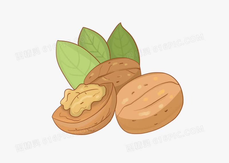健康养生插画风核桃