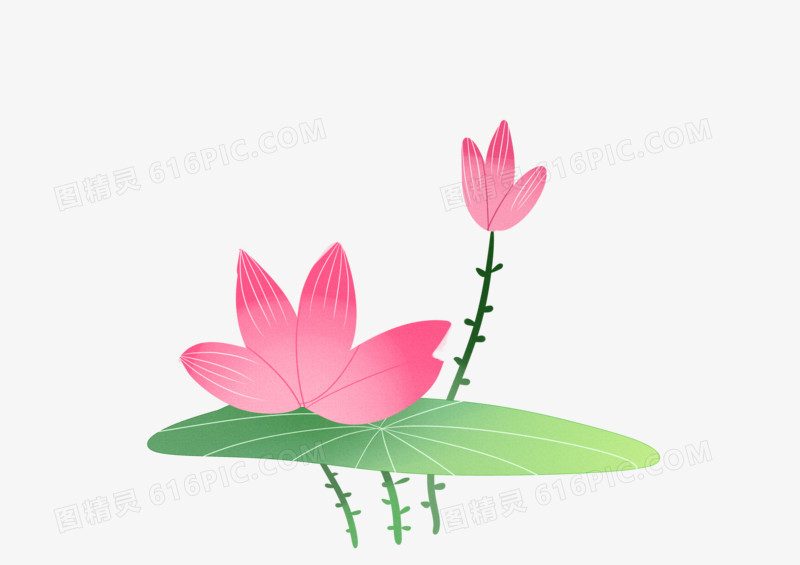 手绘可爱红色荷花