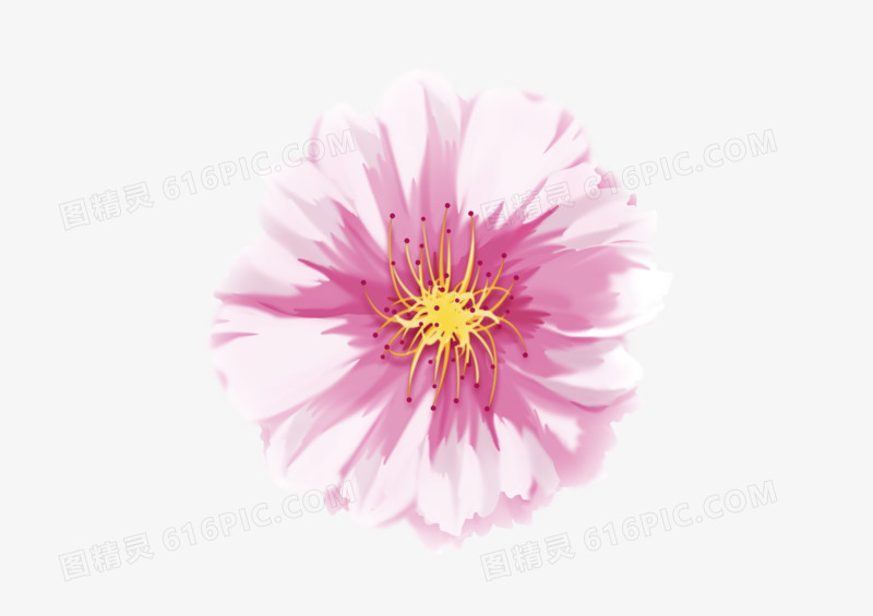 立体粉色美丽团花