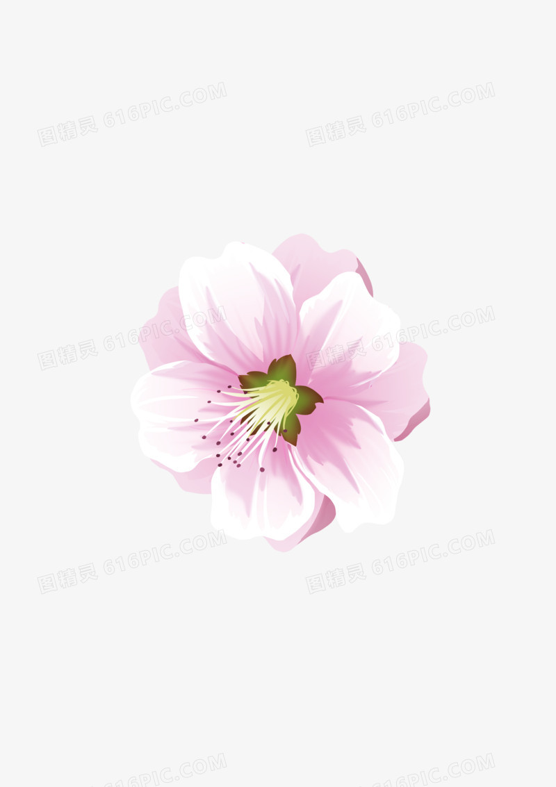  漂亮粉色美丽花朵