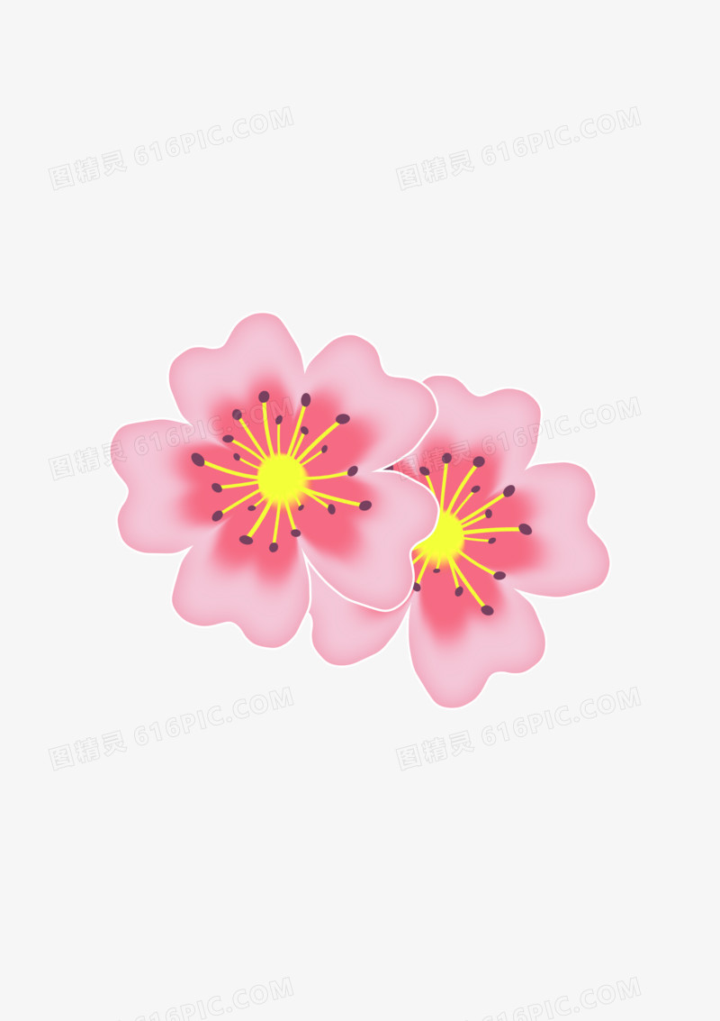 两朵漂亮粉色花朵