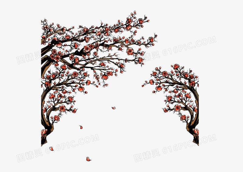 粉色数枝梅花美丽花朵