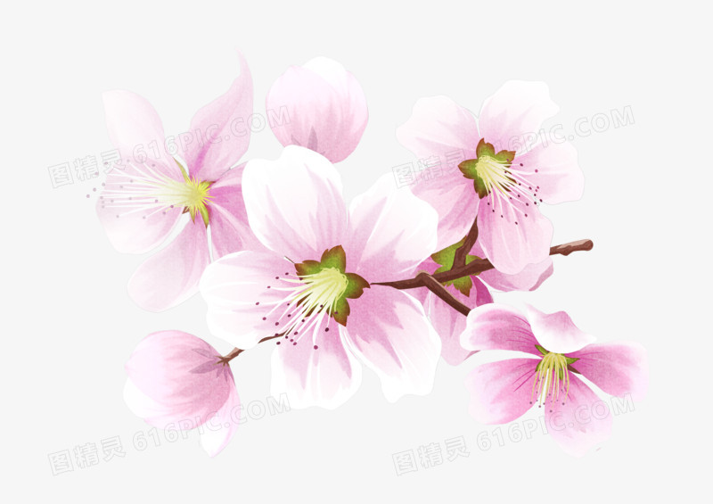 立体多个粉色美丽花朵