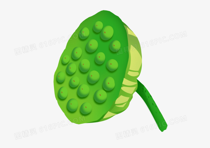 手绘卡通立夏莲蓬莲子