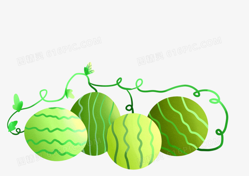 手绘卡通可爱绿色西瓜藤