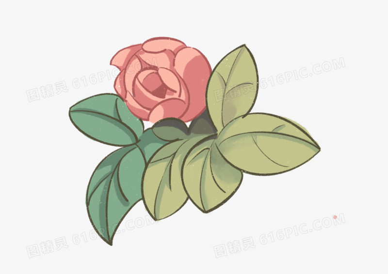 卡通清新花卉玫瑰花