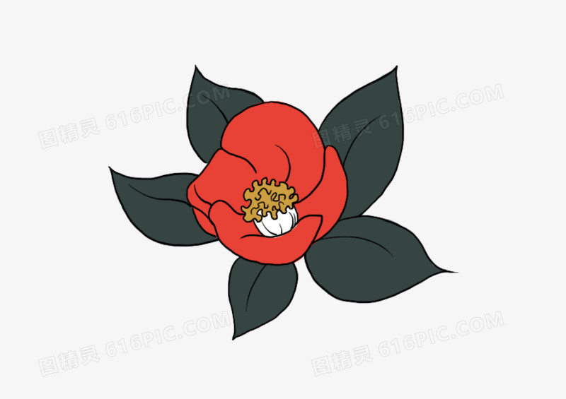 立夏茶花红色清凉小清新插画素材