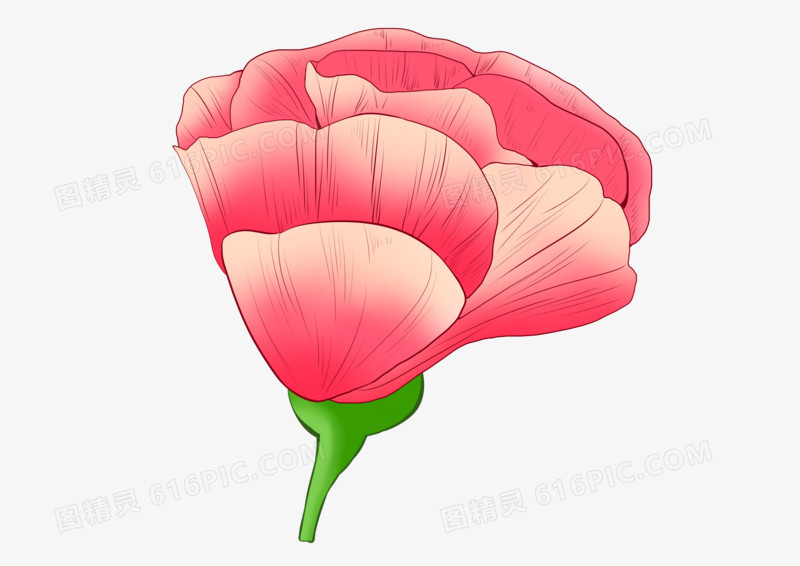 卡通简约红色花卉