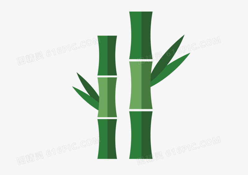 竹子植物插画装饰