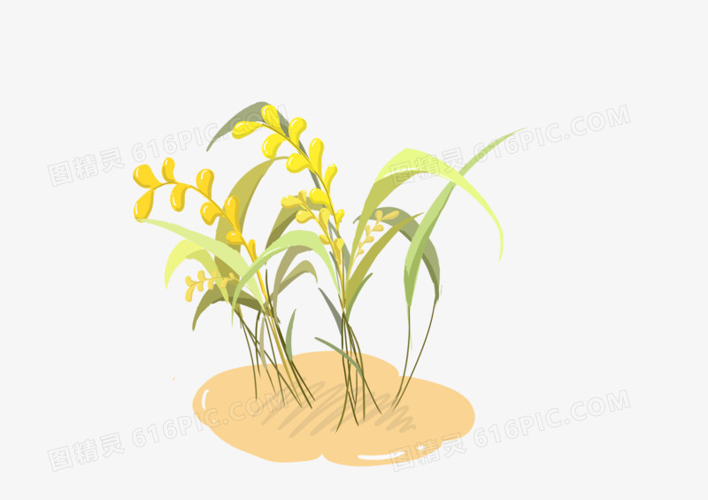 黄色清新麦穗芒种元素