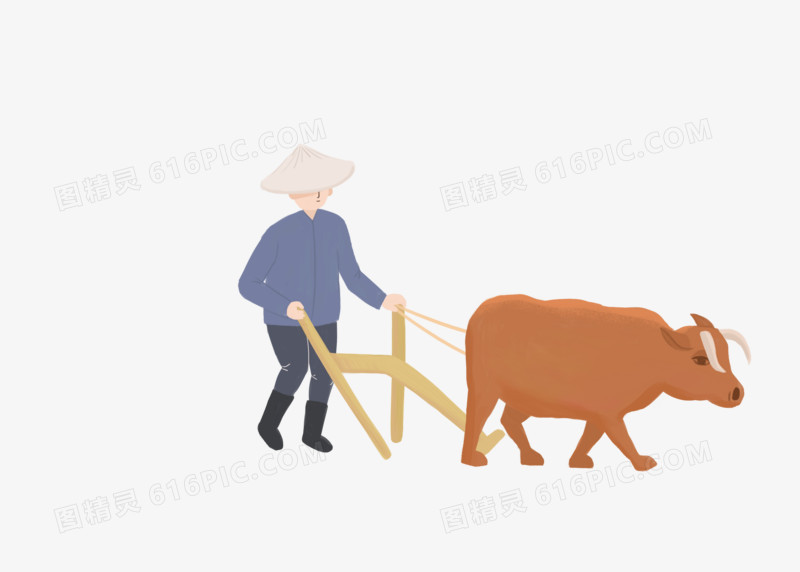 芒种节气夏天耕地农民耕牛老牛庄稼