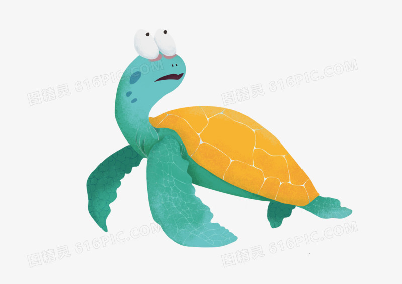 卡通可爱动物海洋生物海龟