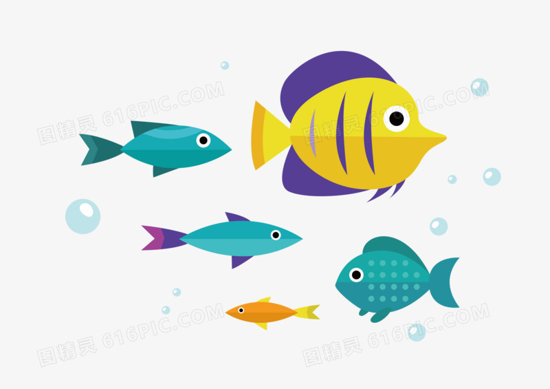 鱼矢量插画素材海洋