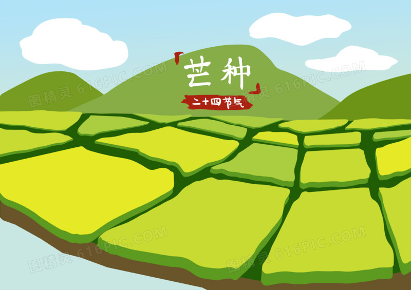 芒种节气田野手绘风背景插画