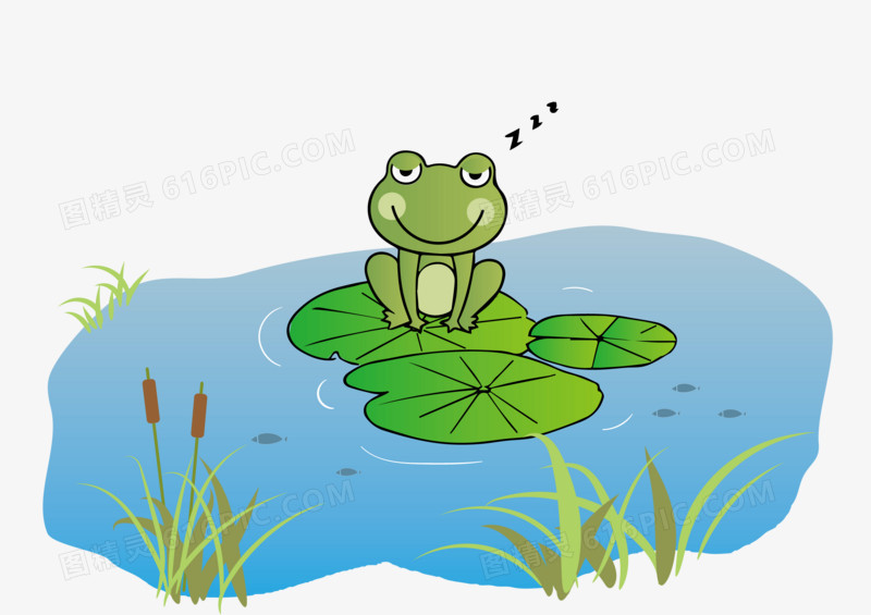 手绘夏季青蛙矢量图插画