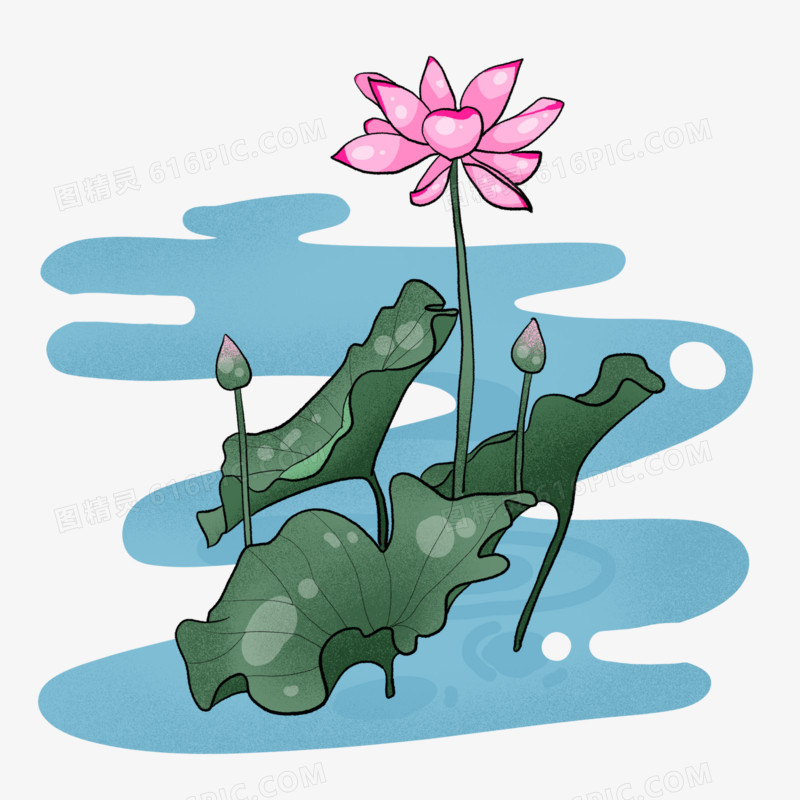 精美荷塘荷花植物免抠海报元素